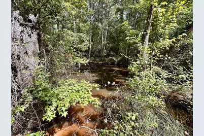 0 County Road 2065, Crockett, TX 75835 - Photo 8