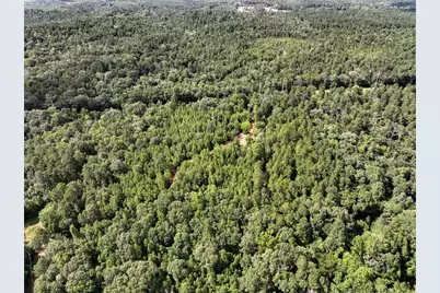 0 County Road 2065, Crockett, TX 75835 - Photo 2