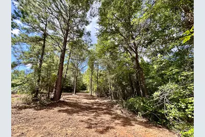 0 County Road 2065, Crockett, TX 75835 - Photo 4