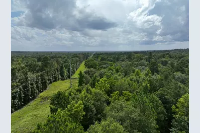 0 County Road 2065, Crockett, TX 75835 - Photo 1