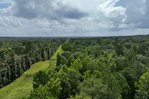 0 County Road 2065, Crockett, TX 75835 - Photo 1