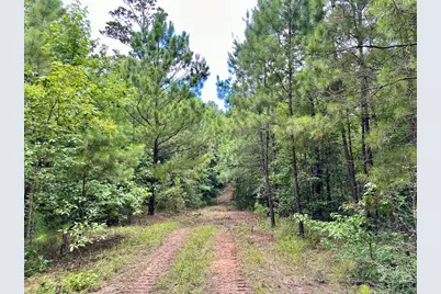 0 County Road 2065, Crockett, TX 75835 - Photo 22