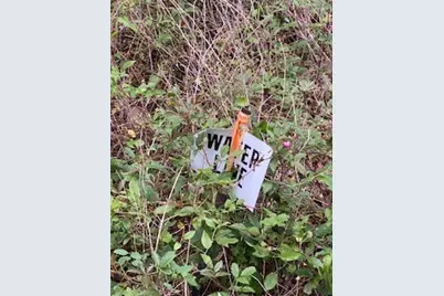 Tbd Sandy Creek Lane, Willis, TX 77378 - Photo 4