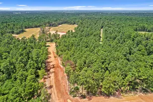 4041 Augusta Dr, Montgomery, TX 77316 - Photo 1