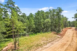 4041 Augusta Dr, Montgomery, TX 77316 - Photo 4