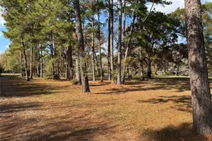 307 Deerwood Dr, Trinity, TX 75862 - Photo 4