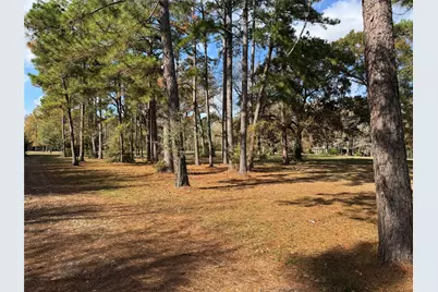 307 Deerwood Drive, Trinity, TX 75862 - Photo 4