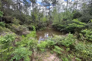 189 Sweet Magnolia Ln, Chester, TX 75936 - Photo 2