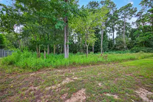 29902 E Hawthorne Dr, Spring, TX 77386 - Photo 40