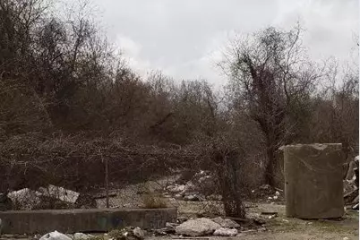 3705 Jensen, Houston, TX 77026 - Photo 4