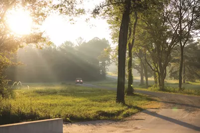 10699 Ruger Road, Willis, TX 77378 - Photo 12