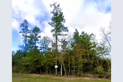 10699 Ruger Road, Willis, TX 77378 - Photo 4