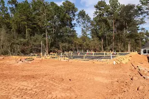 252 Nancy Lou Ln, Willis, TX 77318 - Photo 14