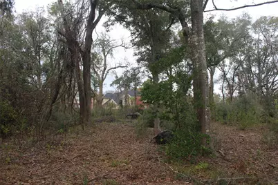 265 Wayne Drive, Clute, TX 77531 - Photo 46