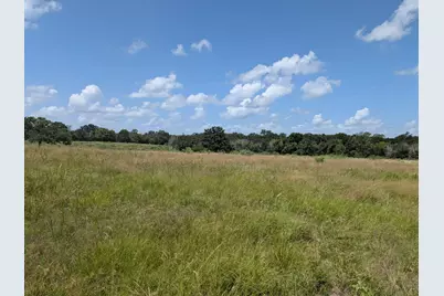 0011 County Road 115, Bedias, TX 77831 - Photo 4