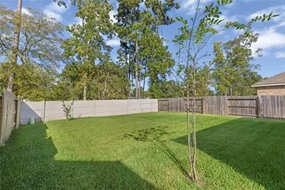 4241 Waterlily Spring Way, Porter, TX 77365 - Photo 38