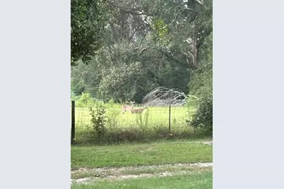 5936 Rosier Road, Votaw, TX 77585 - Photo 6