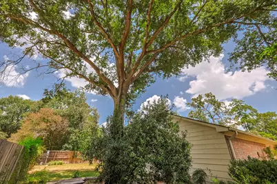 914 Manchester Drive, Conroe, TX 77304 - Photo 42
