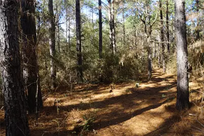 0 County Road 352, Palestine, TX 75803 - Photo 2