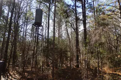0 County Road 352, Palestine, TX 75803 - Photo 4