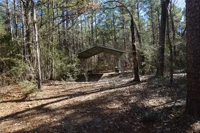 0 County Road 352, Palestine, TX 75803 - Photo 8