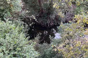 8211 Katy Fwy, Houston, TX 77024 - Photo 30