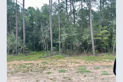 0000 Evergreen Lot 2 Fm 362 Road, Waller, TX 77484 - Photo 12