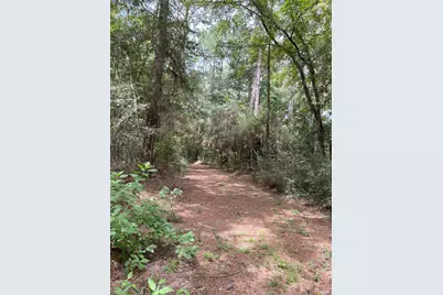 0000 Evergreen Lot 2 Fm 362 Road, Waller, TX 77484 - Photo 14