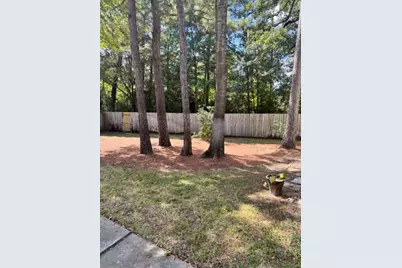 87 S Spiral Vine Circle #87, The Woodlands, TX 77381 - Photo 2