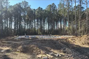 1349 Cr 66113, Dayton, TX 77535 - Photo 12