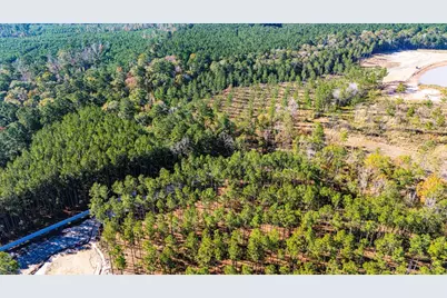 Lot 8 Big Buck Drive N, Moscow, TX 75960 - Photo 4