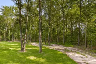 7111 Lorna Rd, Montgomery, TX 77316 - Photo 40