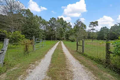 253 Pinckard Rd, Livingston, TX 77351 - Photo 6