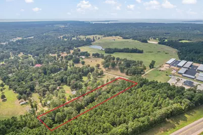 253 Pinckard Rd, Livingston, TX 77351 - Photo 4