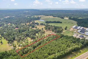 253 Pinckard Rd, Livingston, TX 77351 - Photo 4