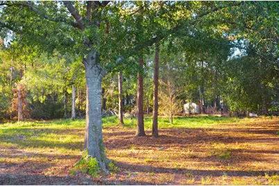 161 Woodman Drive, Cleveland, TX 77328 - Photo 4