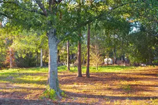 161 Woodman Dr, Cleveland, TX 77328 - Photo 4