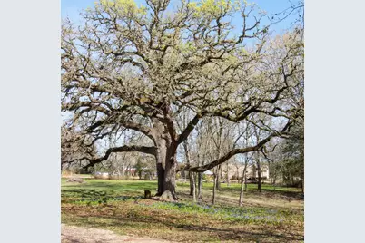 453 N Washington Street, Round Top, TX 78954 - Photo 14