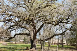 453 N Washington St, Round Top, TX 78954 - Photo 14