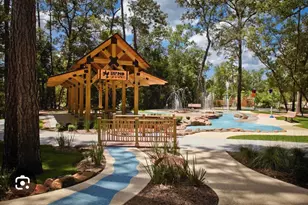 141 Bronze Bow Dr, Montgomery, TX 77316 - Photo 44