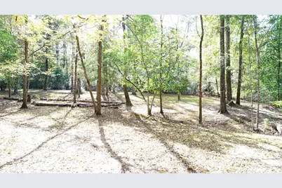 00 Hillbilly Heaven Road, Livingston, TX 77351 - Photo 2