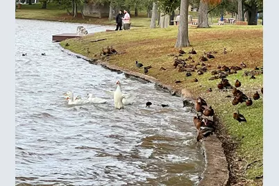 3331 Double Lake Drive, Missouri City, TX 77459 - Photo 28