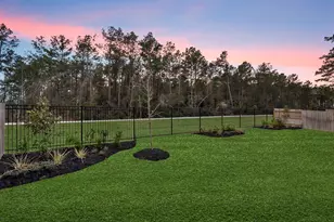 15834 Moran Meadow St, Conroe, TX 77302 - Photo 4