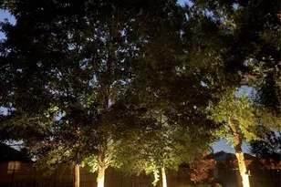 15 New Oak Trail, Humble, TX 77346 - Photo 42