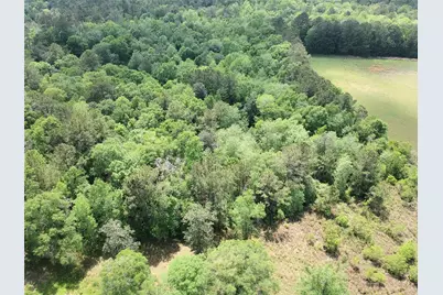 Lot 131 S Green Valley Trail, Hillister, TX 77624 - Photo 4