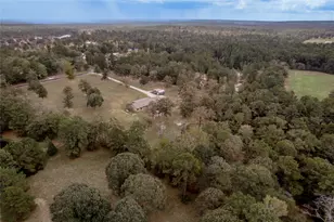 206 William Thomas Rd, Huntsville, TX 77320 - Photo 44