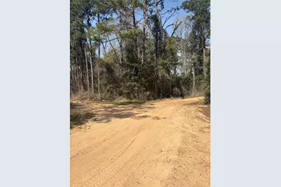 Tbdd Margie Drive, Livingston, TX 77351 - Photo 6