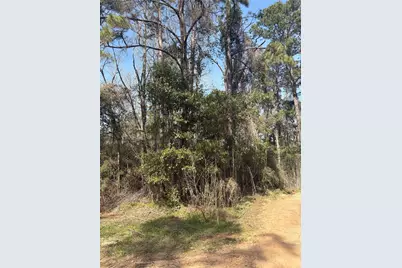 Tbdd Margie Drive, Livingston, TX 77351 - Photo 4