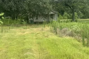 731 Martin Luther King, Montgomery, TX 77356 - Photo 4