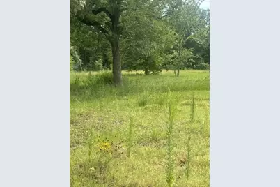731 Martin Luther King, Montgomery, TX 77356 - Photo 6